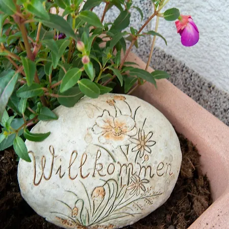 Welcoming In With Terrace Apartman