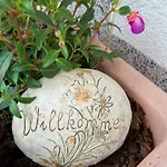 Inviting In Appartement